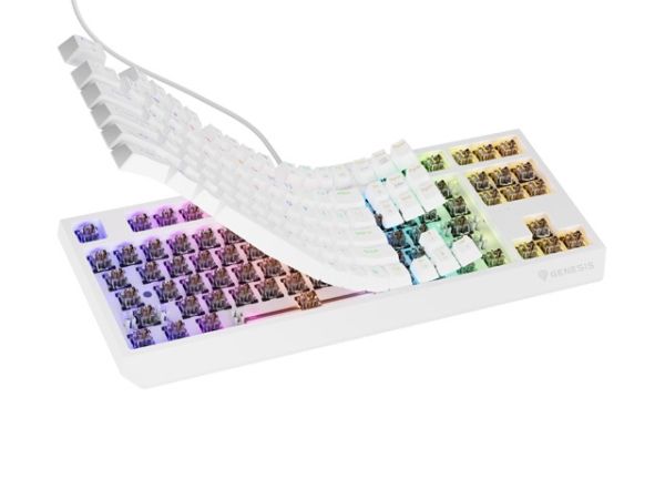 Клавиатура Genesis Gaming Keyboard Thor 230 TKL US RGB Mechanical Outemu Brown White Hot Swap