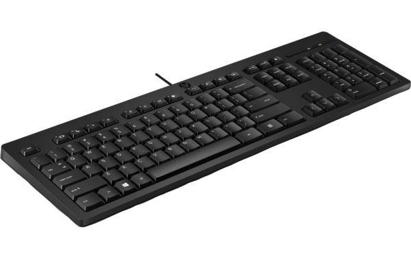 Клавиатура HP 125 Wired Keyboard
