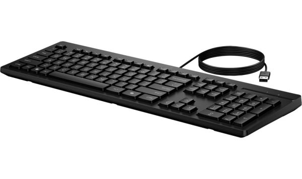Клавиатура HP 125 Wired Keyboard