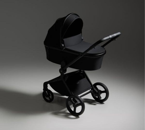 Бебешка количка 2 в 1 ANEX Flo Lungo 2025