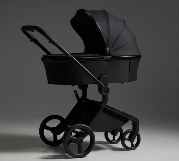 Бебешка количка 2 в 1 ANEX Flo Lungo 2025