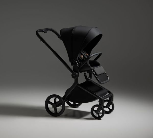 Бебешка количка 2 в 1 ANEX Flo Lungo 2025
