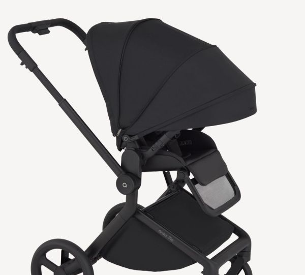 Бебешка количка 2 в 1 ANEX Flo Lungo 2025