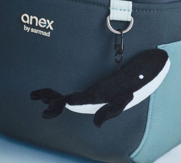 Бебешка количка 2в1 Anex Eli Wavy Special Edition 2026