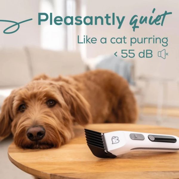 Машинка за подстригване Beurer PP 110 Fluffy Professional grooming for dogs and cats;individually adjustable cutting lengths and extra-long battery life;Quiet motor;Wide stainless steel blade