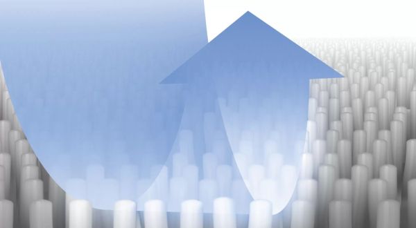 Аксесоар Bosch BBZWDSET washing set, AquaWash&Clean