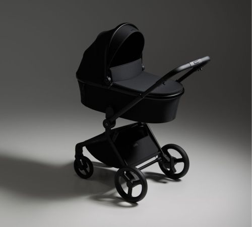 Бебешка количка 2 в 1 ANEX Flo Lungo 2025