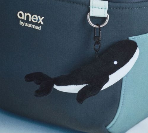 Бебешка количка 2в1 Anex Eli Wavy Special Edition 2026