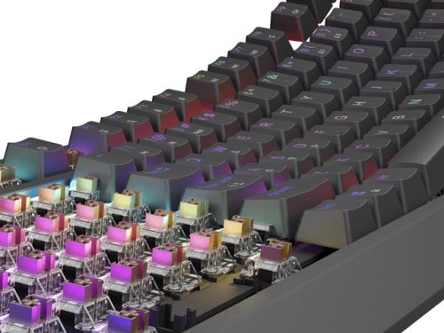 Клавиатура Genesis Gaming Keyboard Thor 230 TKL US RGB Mechanical Outemu Brown Black Hot Swap
